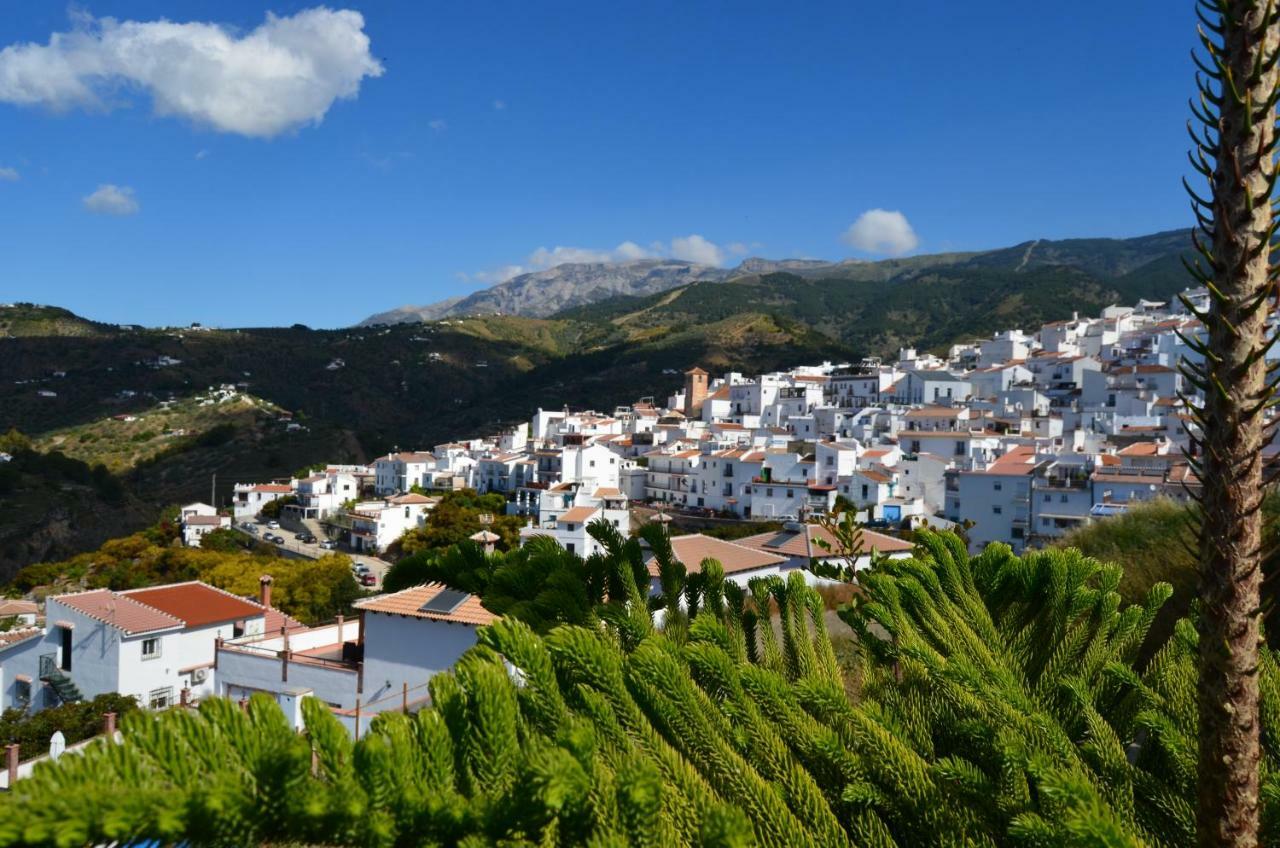 Posada La Plaza Canillas de Albaida Εξωτερικό φωτογραφία
